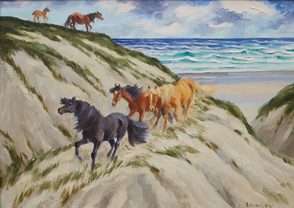 John Douglas Lawley (1906-1971) - Sable Island