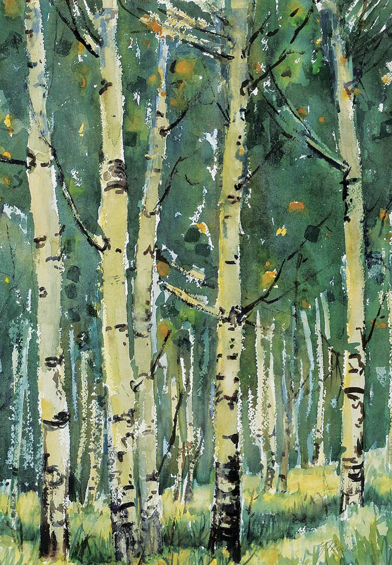 Yvette Morin - Untitled - Birch Trees