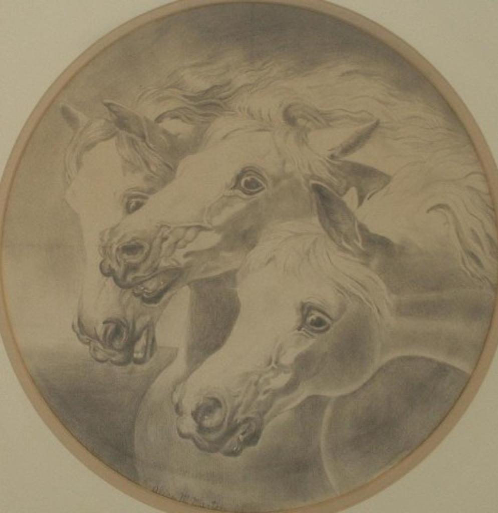 Alice M. Martin - Study of Horses
