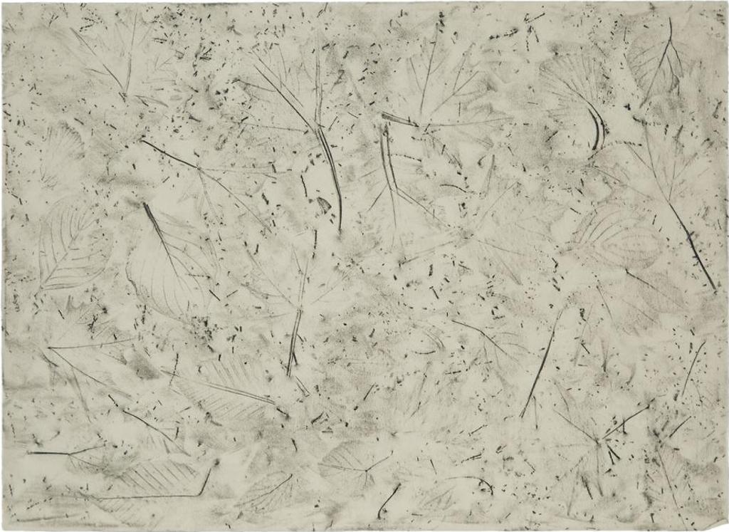 Alan Sonfist (1946) - Untitled (Leaves), 1969