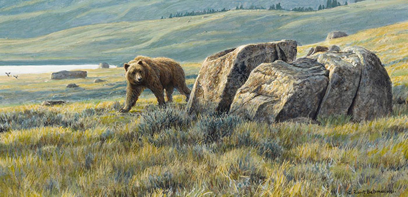 Robert Mclellan Bateman (1930-1922) - Kodiak Bear Rounding Rocks