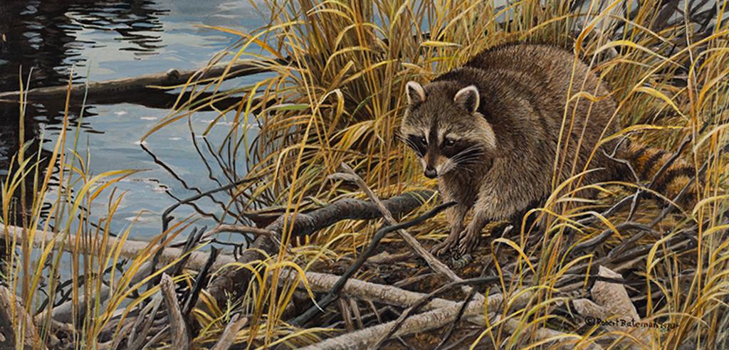 Robert Mclellan Bateman (1930-1922) - Mischief on the Prowl - Raccoon