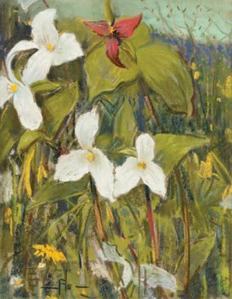 Franklin Peleg Brownell (1857-1946) - Trilliums