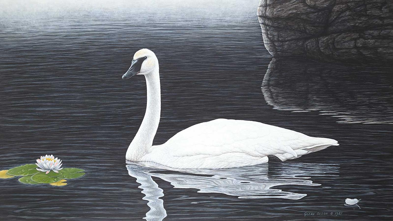 Glenn Olson (1945) - Serene Splendor - Trumpeter Swan
