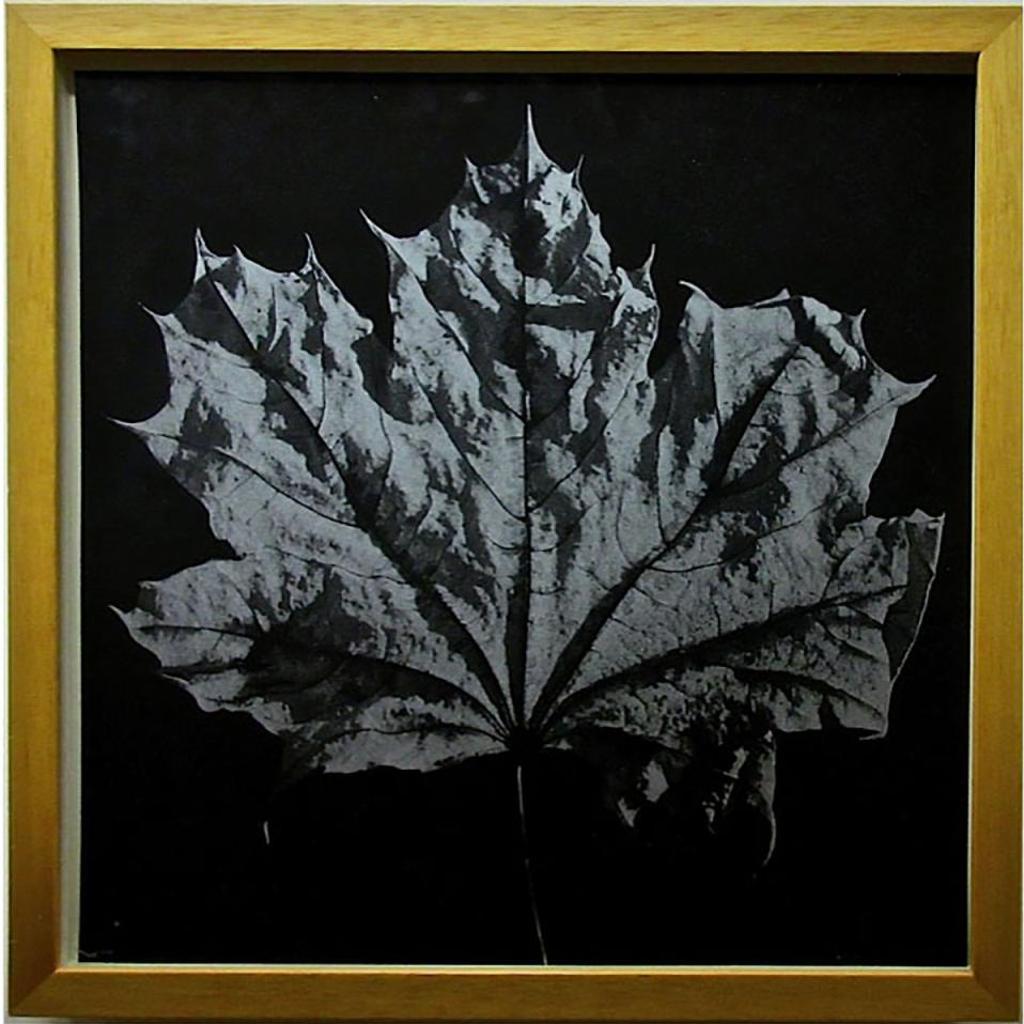 Ray Charles White (1961) - Maple Leaf