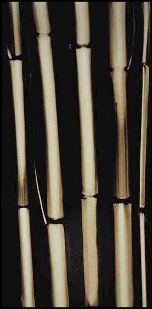 Attila Richard Lukacs (1962) - Bamboo