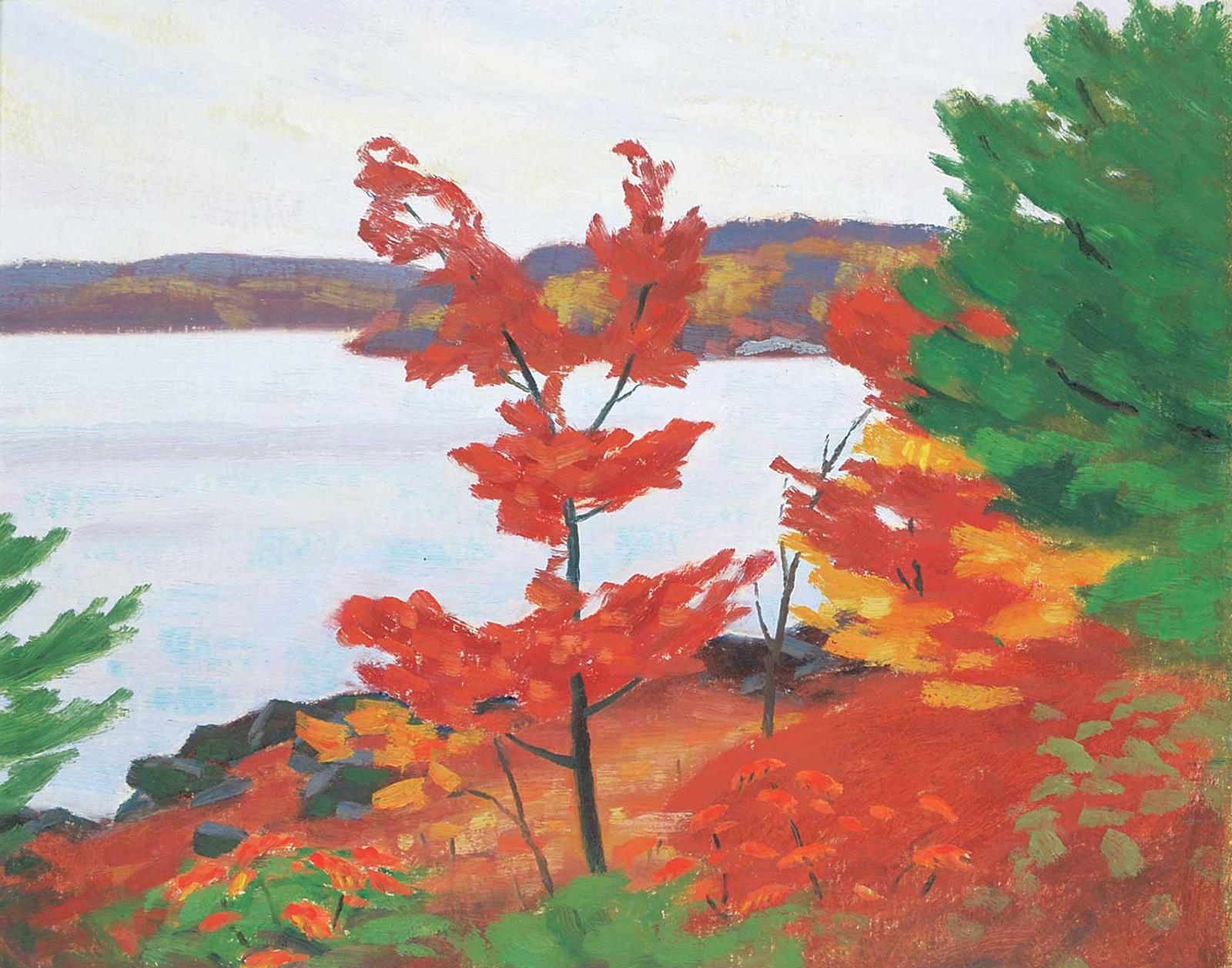 George Albert Thomson (1868-1965) - Untitled - Autumn Trees