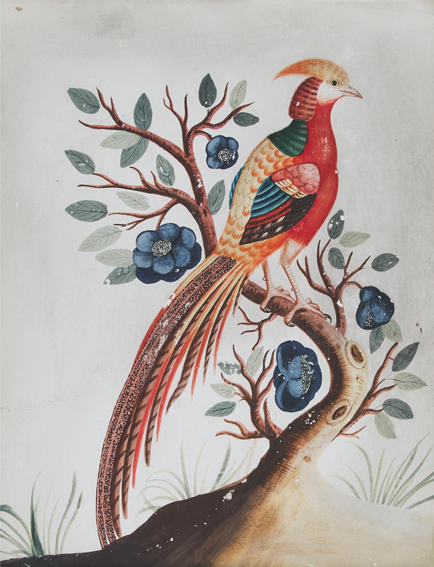 Manner of Samuel Dixon - Painted Pheasant From China