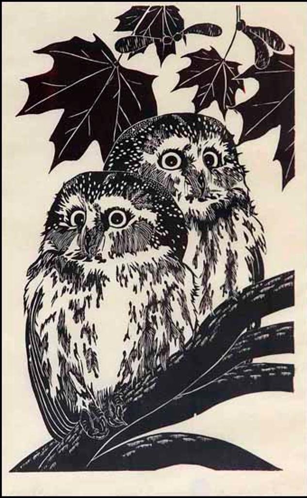 Burland Murphy - Saw-Whet Owls (01846/2013-140)