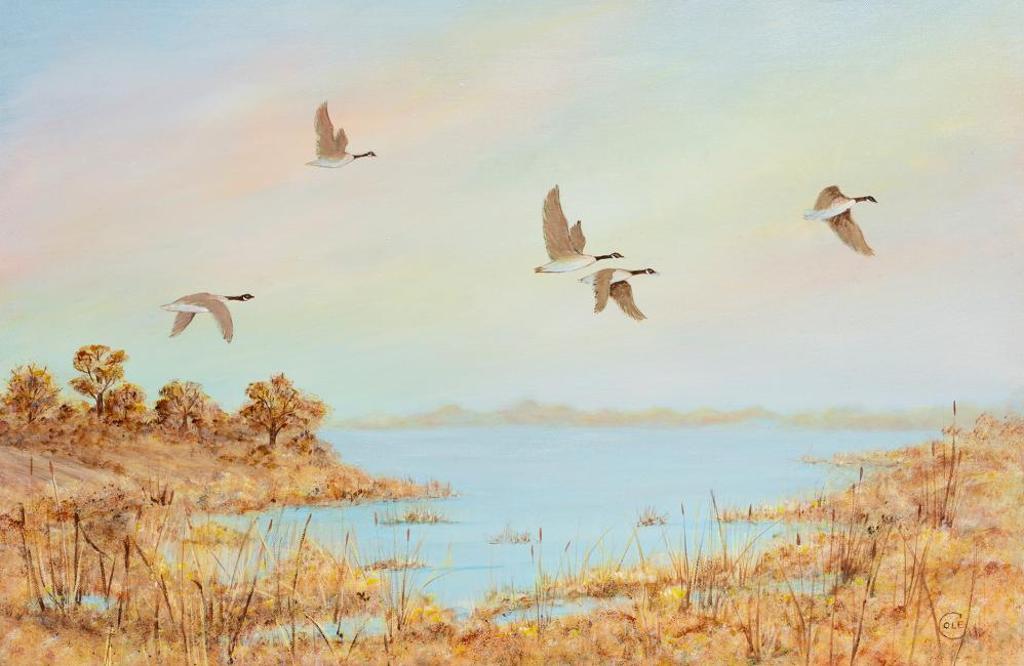 Cole - Untitled - Canada Geese