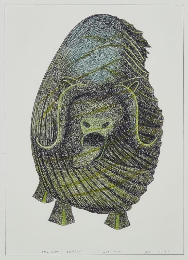 Kananginak Pootoogook (1935-2010) - Musk Ox