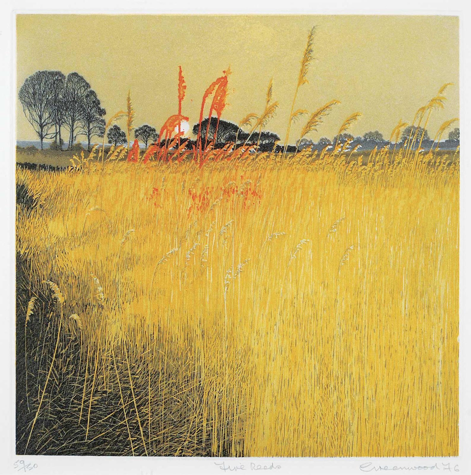 Phil Greenwood (1943) - Fire Reeds  #59/150