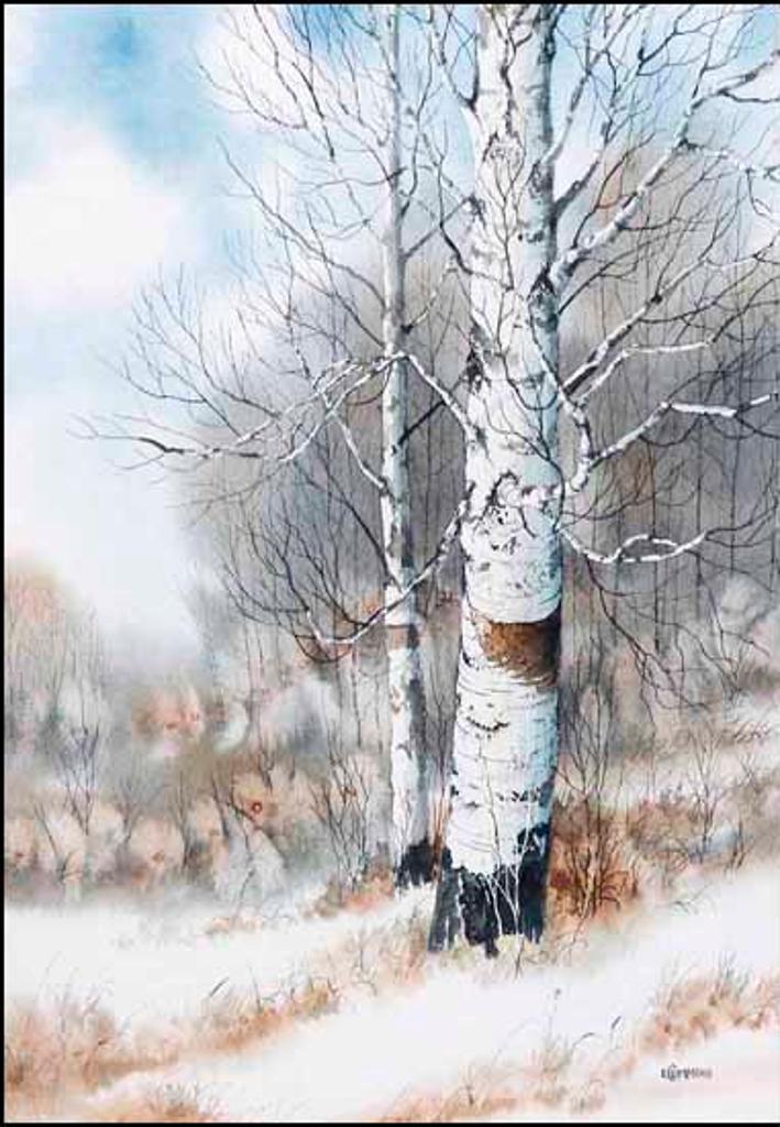 Earl Cummins (1922-2012) - Birch Trees #2 (02290/2013-835)