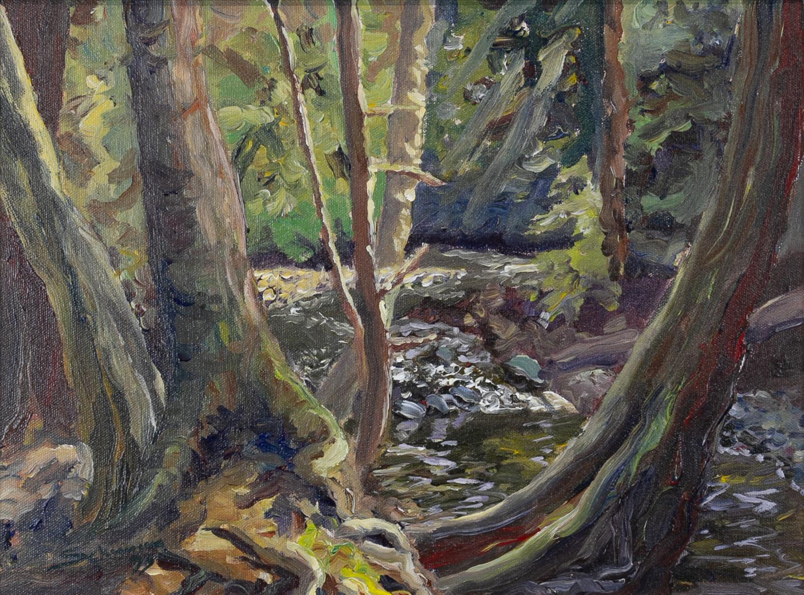 Tim Schumm (1957) - Beaver Creek