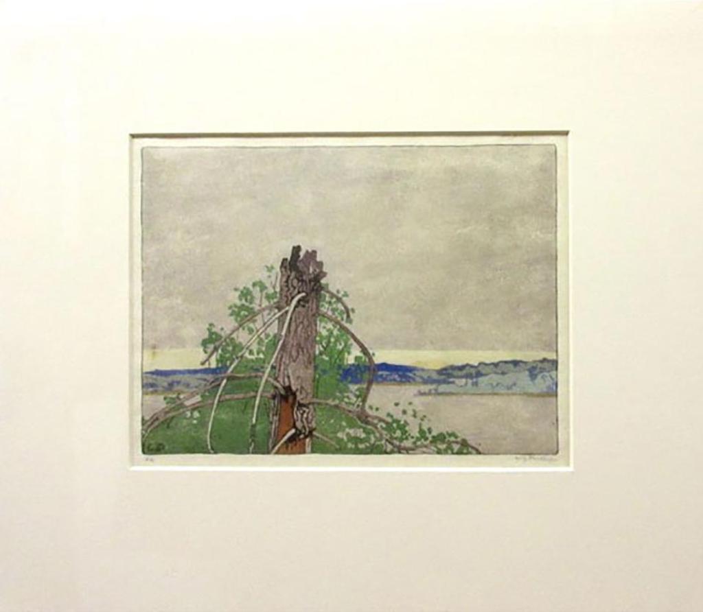 Walter Joseph (W.J.) Phillips (1884-1963) - The Stump, Lake Of The Woods