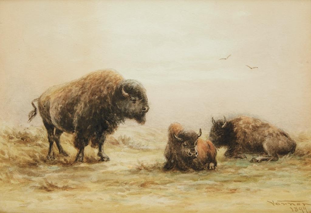 Frederick Arthur Verner (1836-1928) - Three Bison