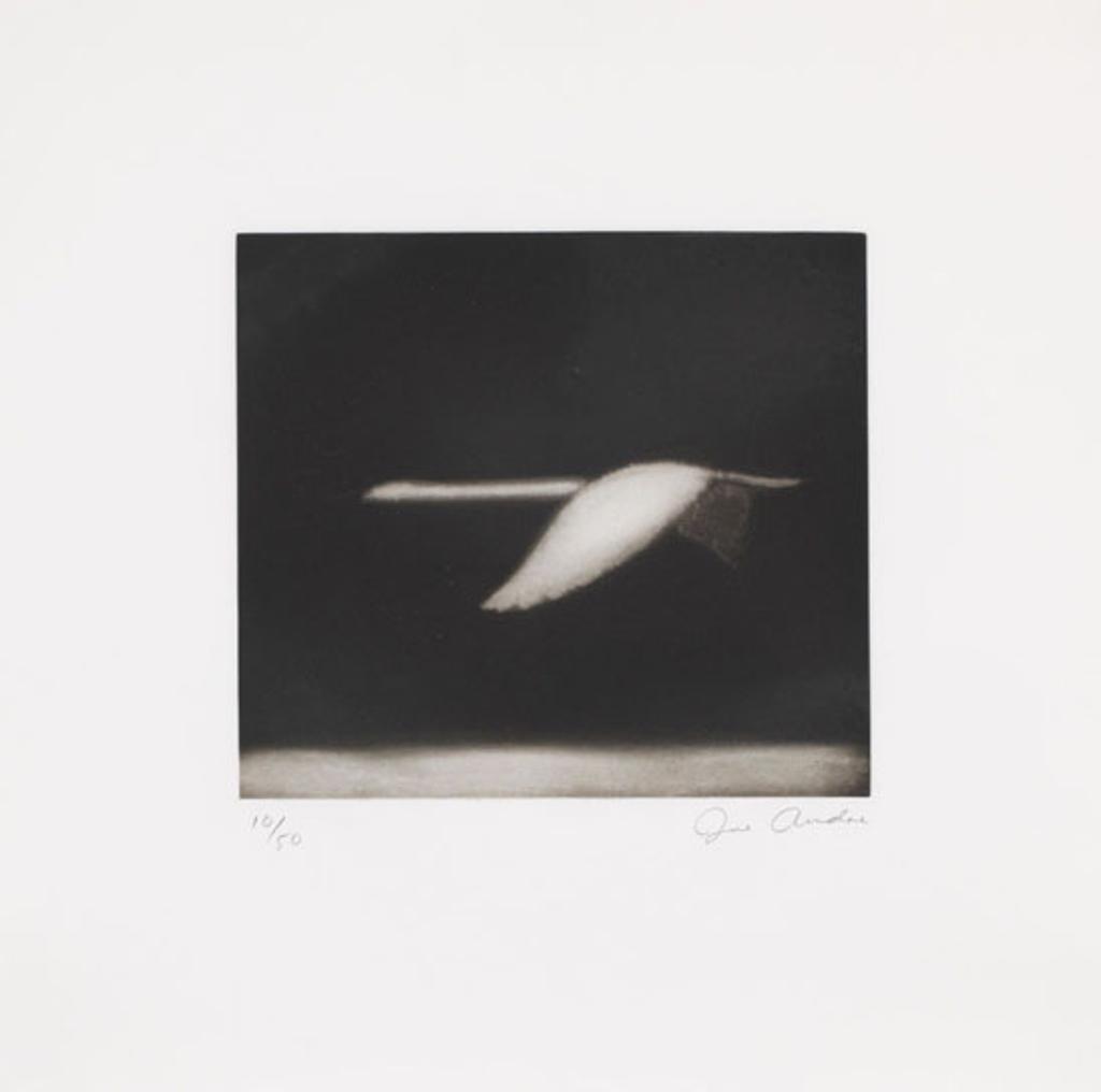 Joe Andoe (1955) - Three Works: Swan Portfolio