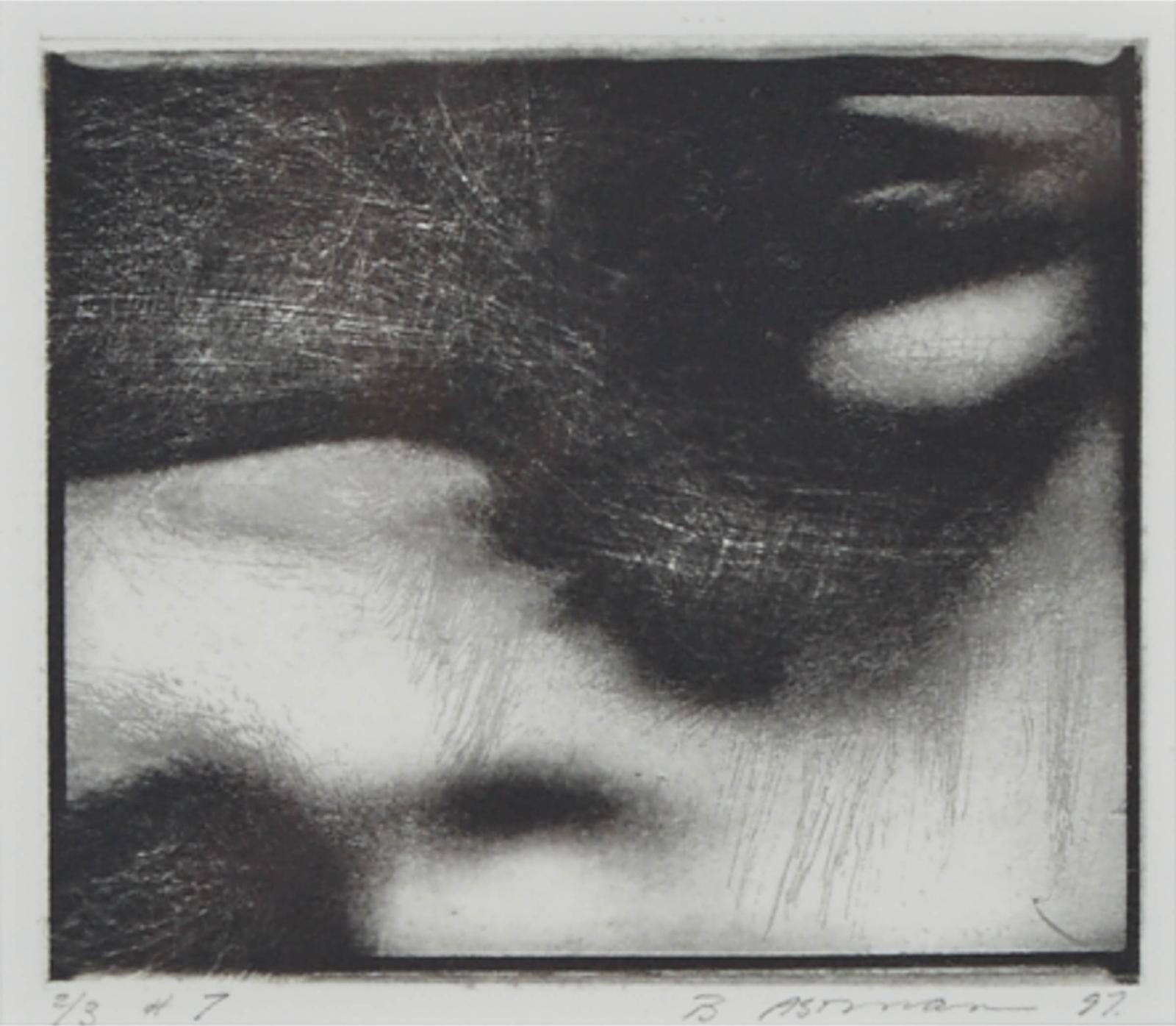 Barbara Ann Astman (1950) - Untitled #7, From The Series 