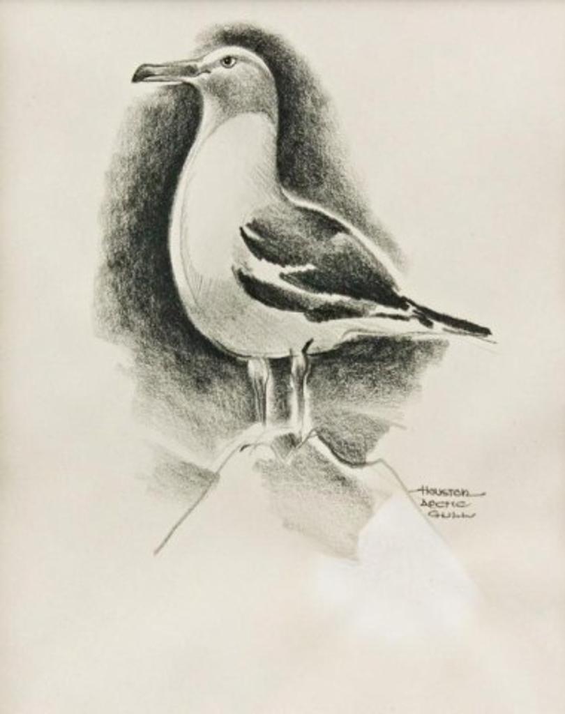 James Archibald Houston (1921-2005) - Arctic Gull