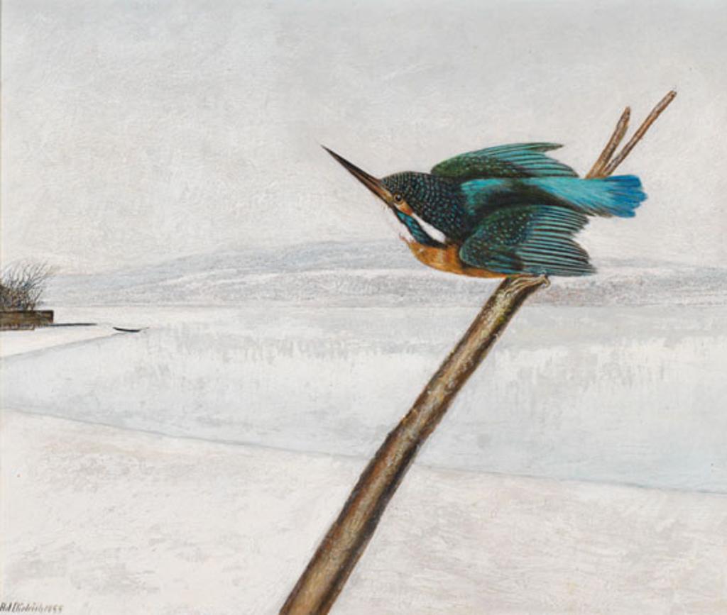 Adolf Dietrich (1877-1957) - Kingfisher