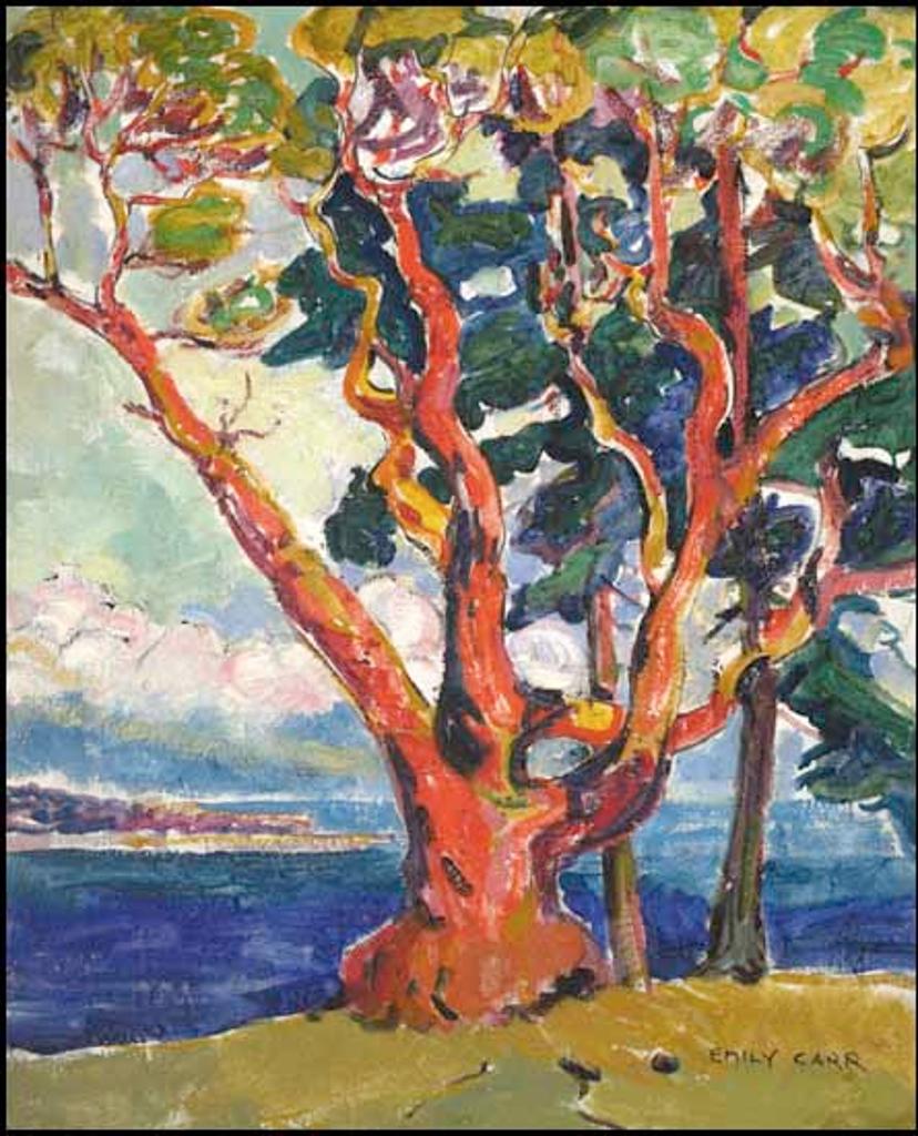 Emily Carr (1871-1945) - Arbutus Tree / Untitled Portrait verso