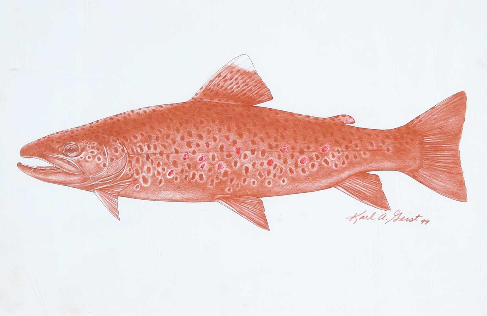 Karl A. Geist - Untitled - Brown Fish