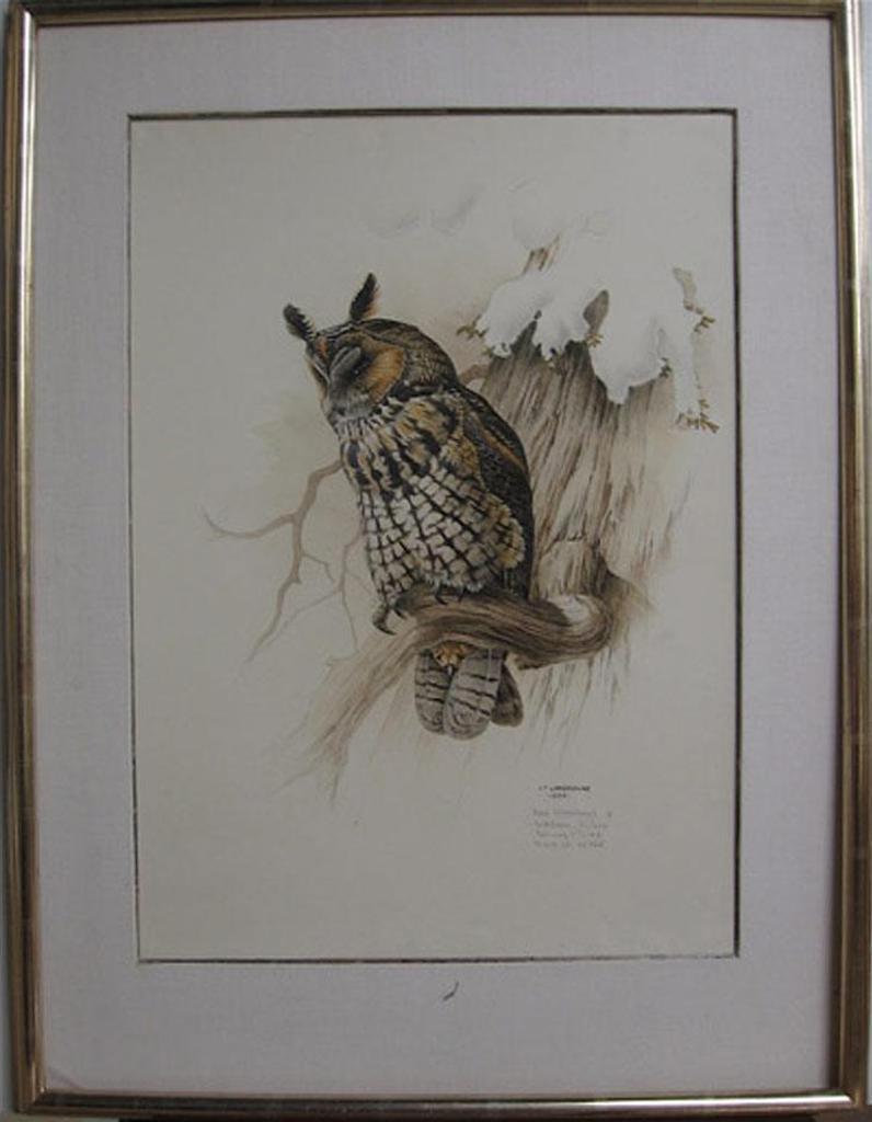 James Fenwick Lansdowne (1937-2008) - Asio Wilsonianus (Long Earred Owl)