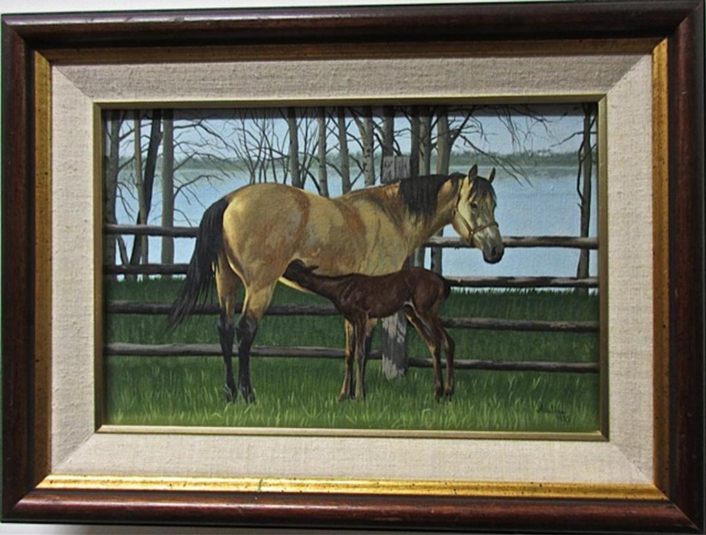 Adeline Halvorson (1957) - Buckskin Mare &  Foal