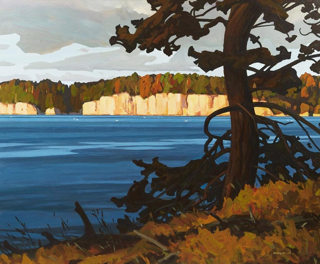 Clayton Anderson (1964) - Valdez Bluffs with Cedar