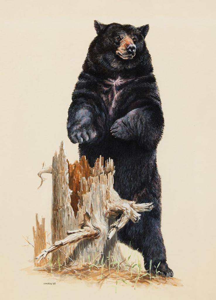 James Richard Lumbers (1929) - Black Bear
