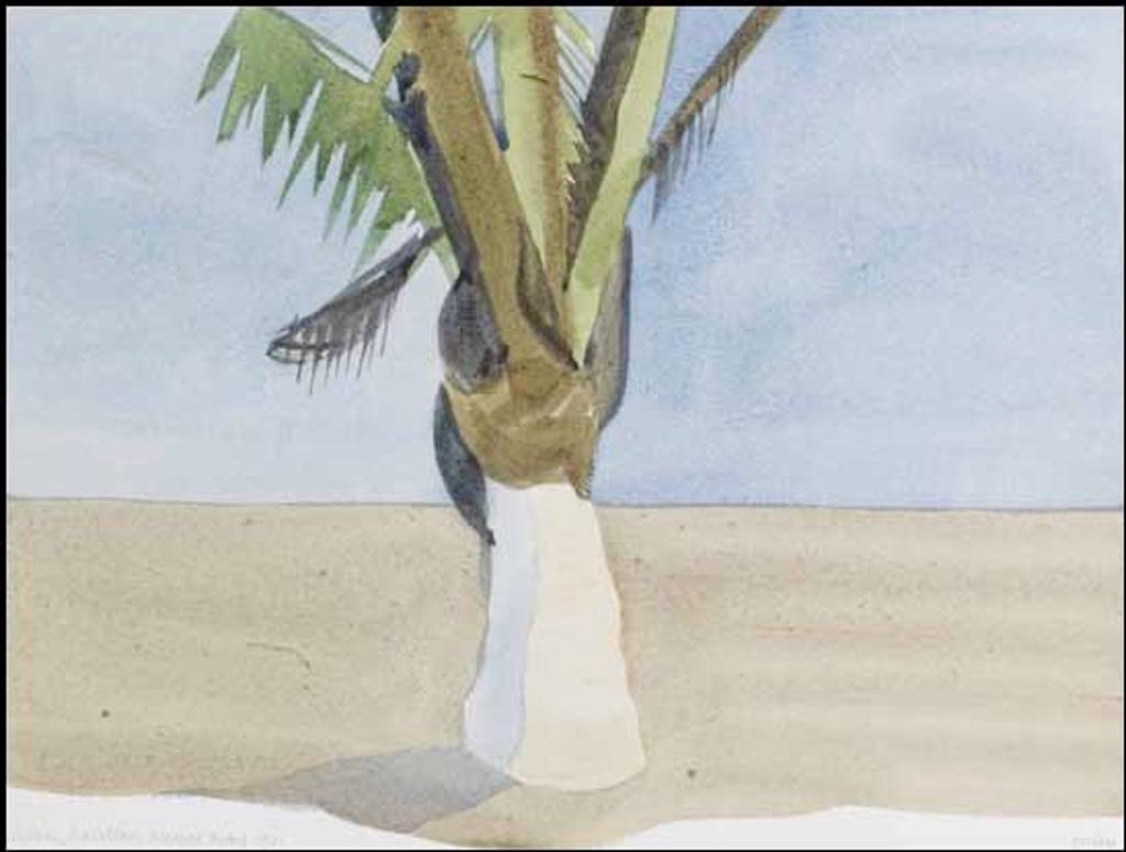 Toni (Norman) Onley (1928-2004) - Palm Tree, Mazatlan, Mexico