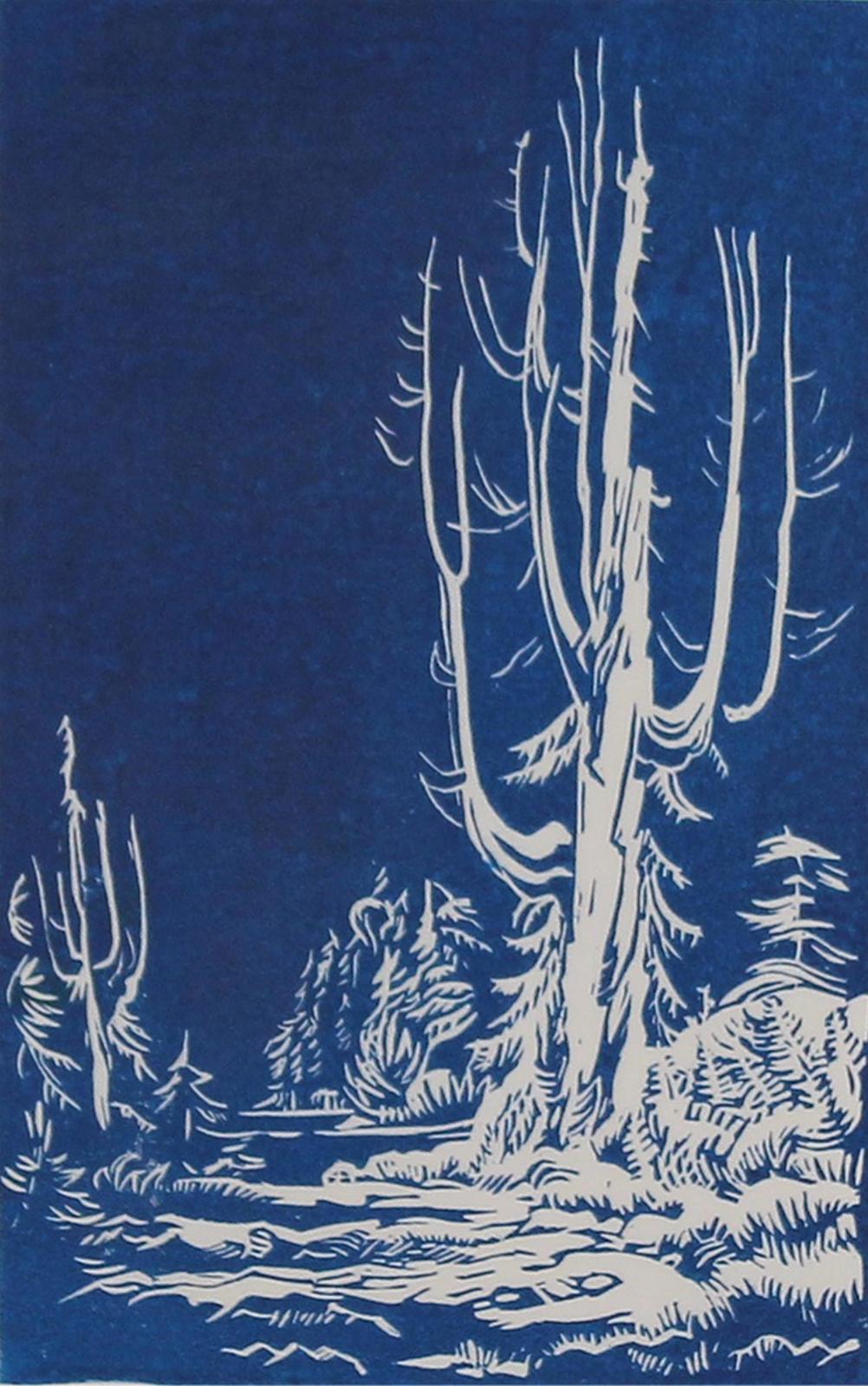Margaret Dorothy Shelton (1915-1984) - Candelabra Cedar; 1984; ed. #84/100