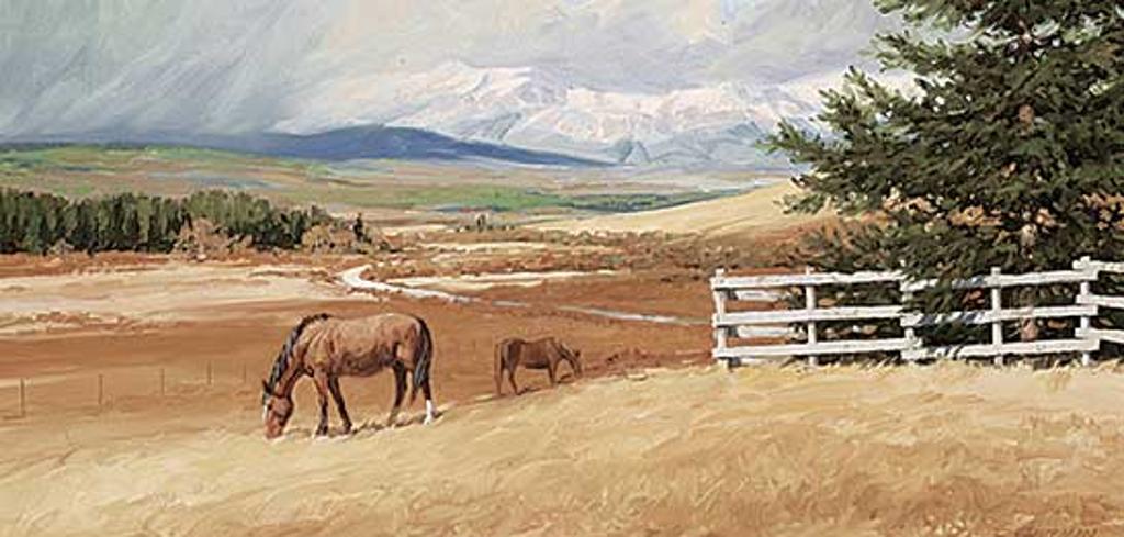 Richard (Dick) Audley Freeman (1932-1991) - Ranching Country