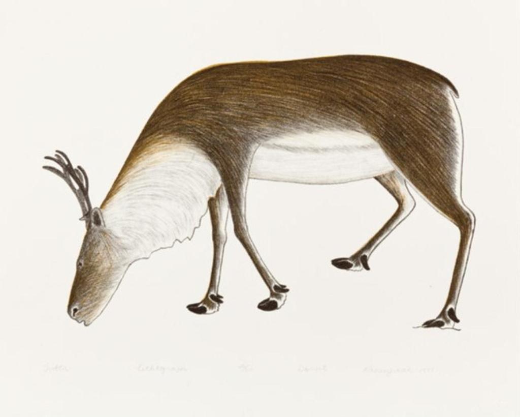Kananginak Pootoogook (1935-2010) - Tuttu/ Caribou, 1977 L5, lithograph, 26/50, 15 x 18.5 in, 38.2 x 47 cm