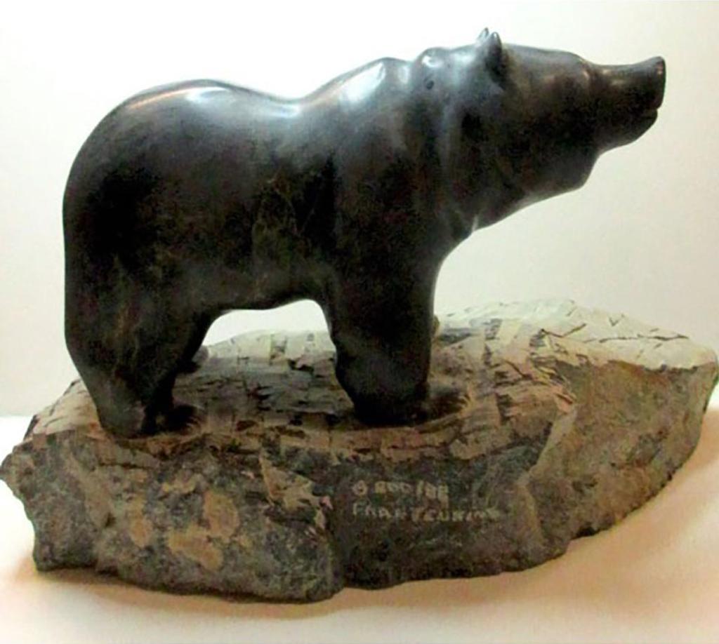 Fran Jenkins (1933-2020) - Grizzly Bear