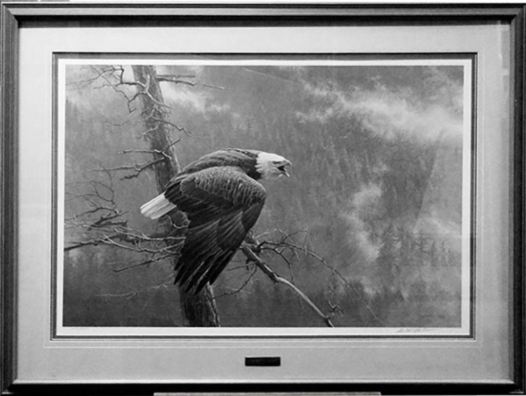 Robert Mclellan Bateman (1930-1922) - Bald Eagle (The Air, The Forest, The Watch)