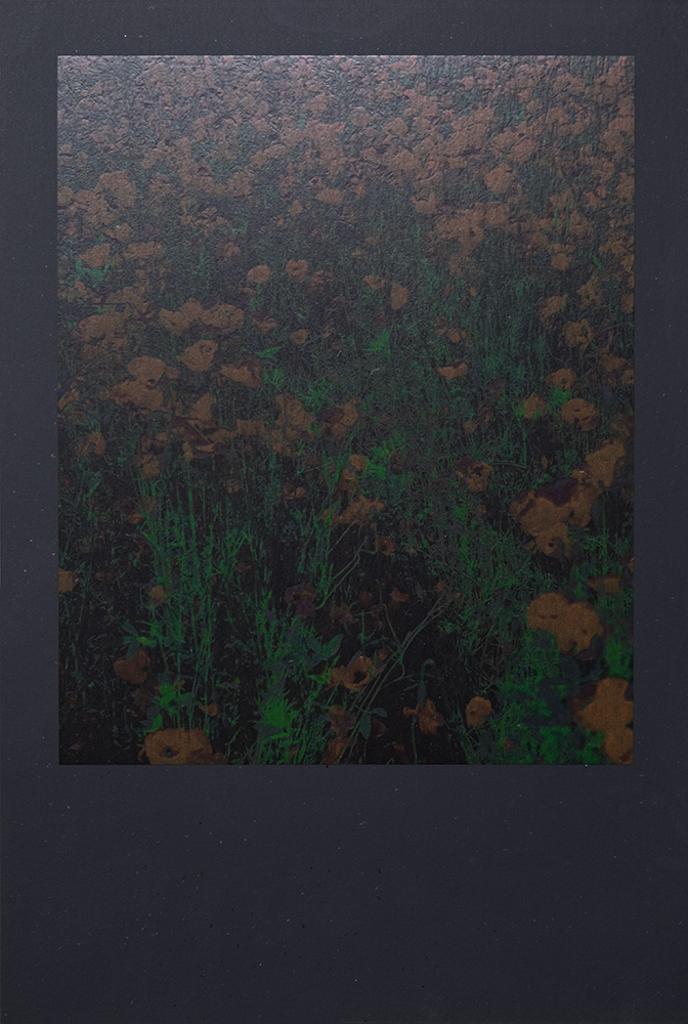 Eve Tagny - Poppies field imprint, 2022