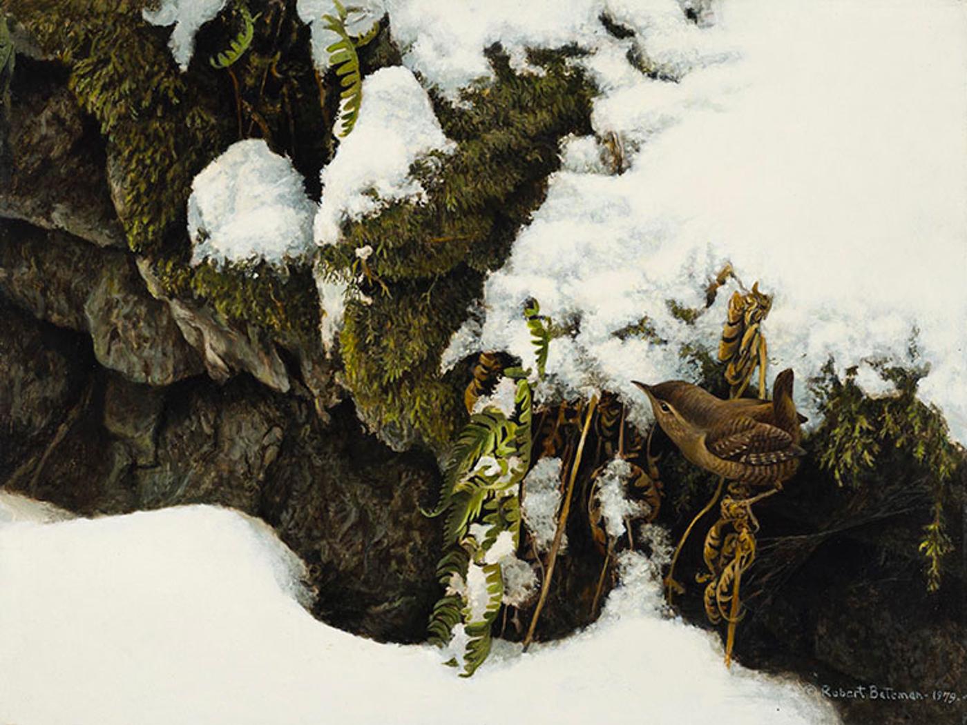 Robert Mclellan Bateman (1930-1922) - Winter Wren