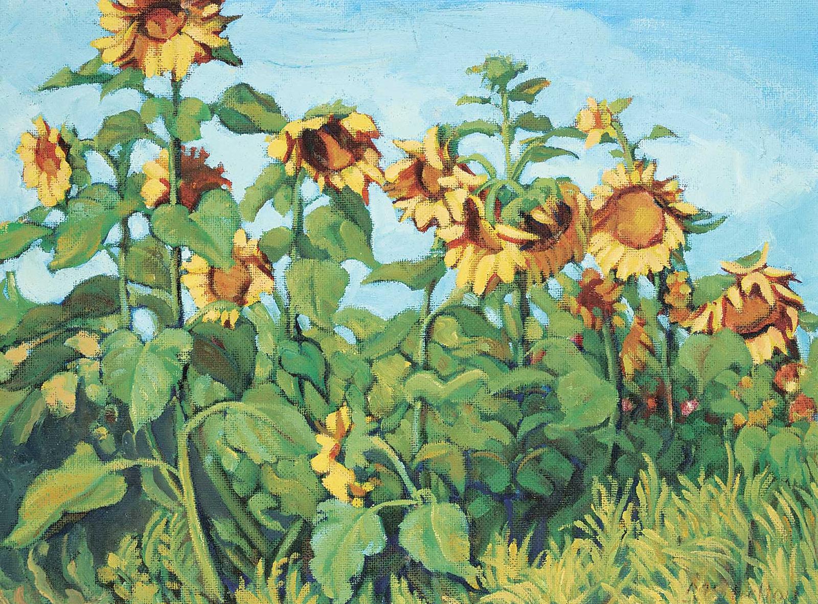 Margaret Dorothy Shelton (1915-1984) - Sunflowers
