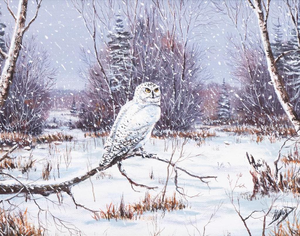 Bob Millard (1947-2014) - Untitled - Owl in the Snow