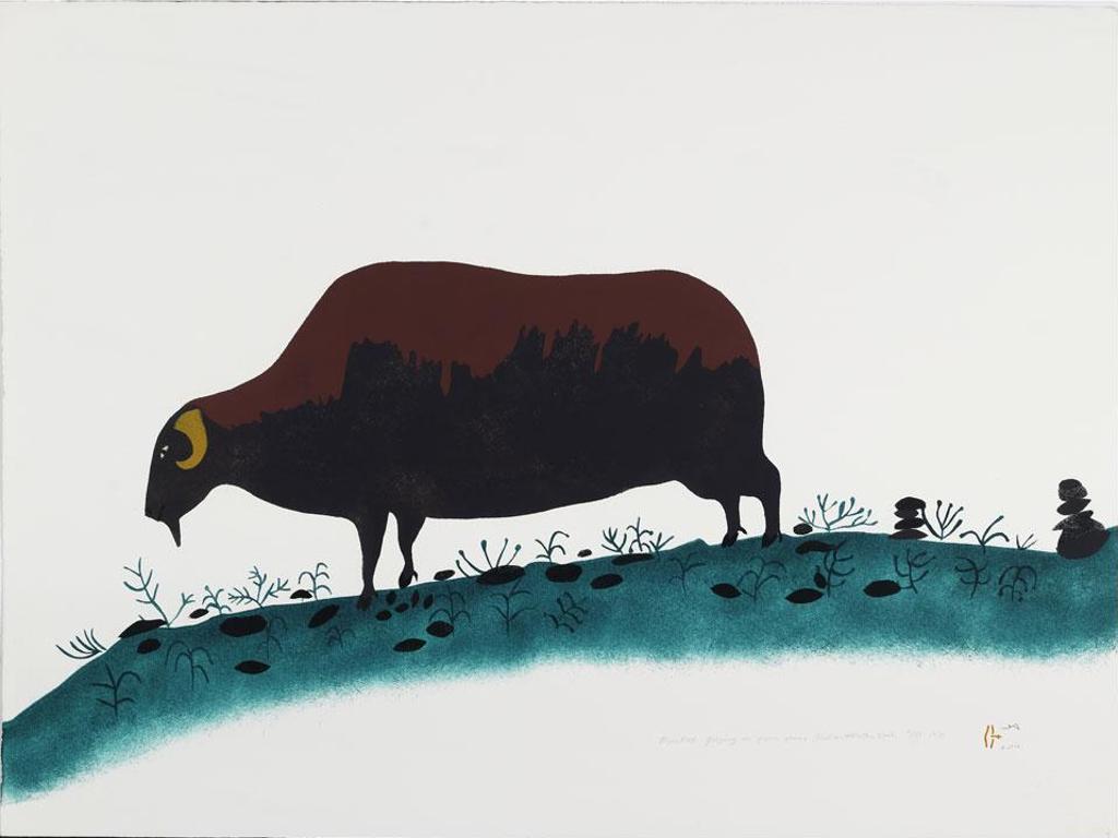 Martha Noah (1943) - Musk-Ox Grazing On Green Grass