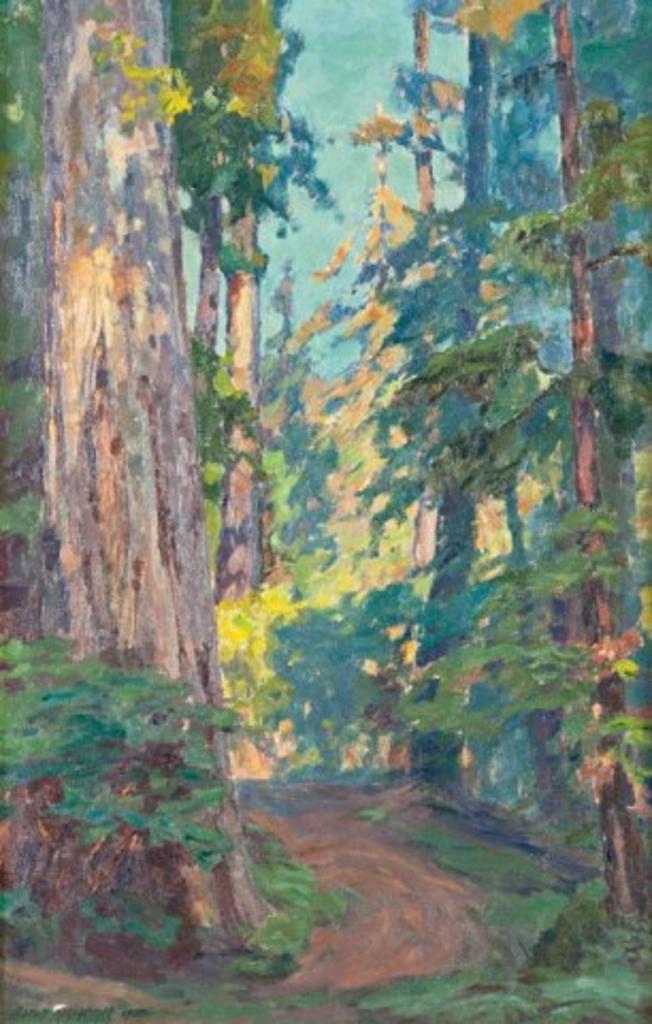 Aaron E. Kilpatrick (1872-1953) - Morning in the Redwoods