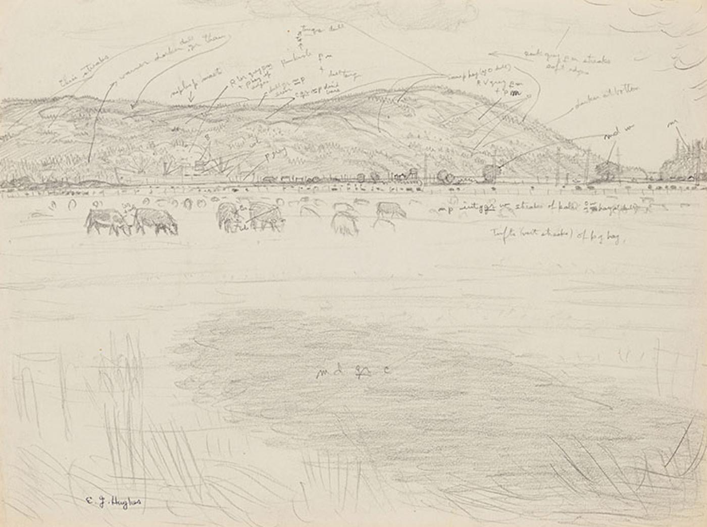 Edward John (E. J.) Hughes (1913-2007) - A Farm at Cowichan Bay
