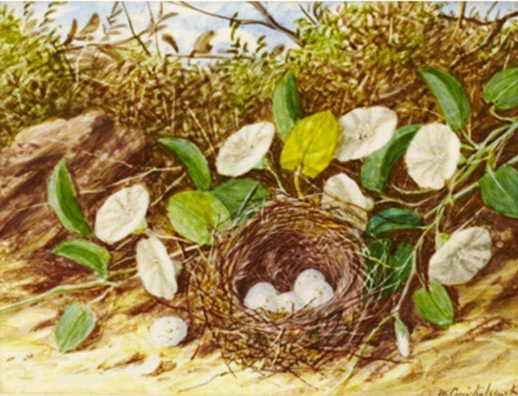 William Cruickshank (1848-1922) - Bird’S Nest With Flowers