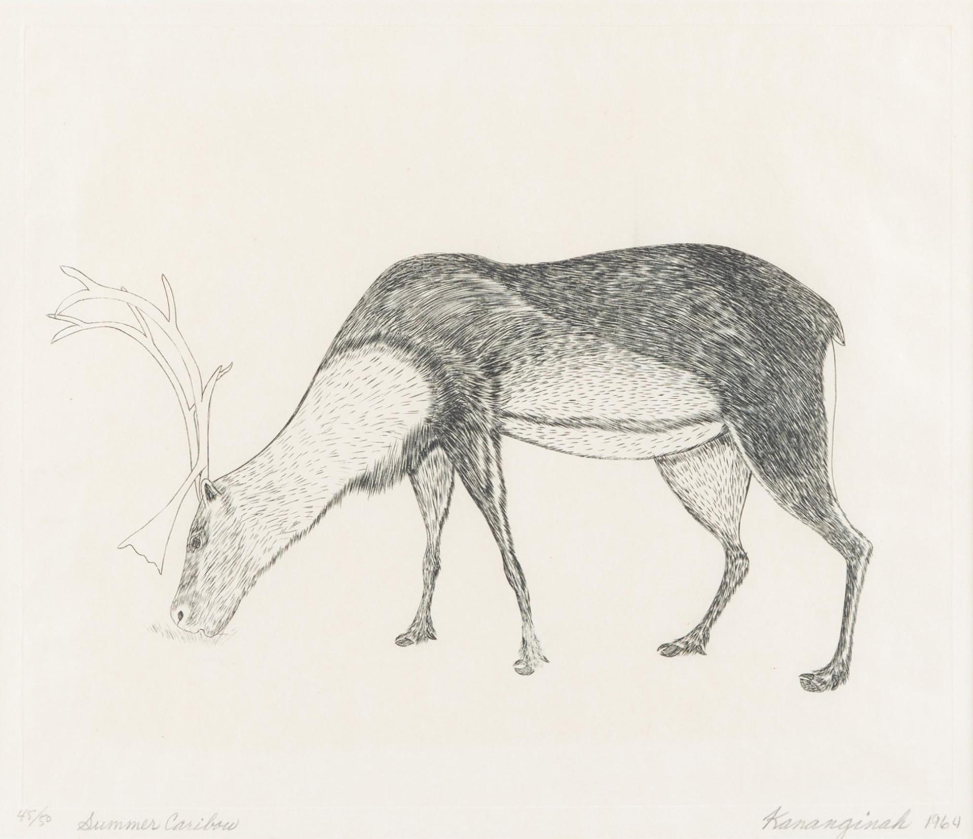 Kananginak Pootoogook (1935-2010) - Summer Caribou, 1964