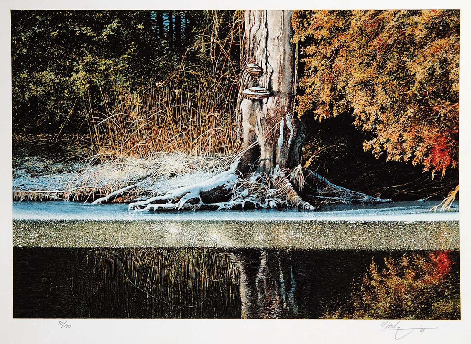 Kenneth (Ken) Edison Danby (1940-2007) - Untitled - Tree with Melting Snow  #70/100
