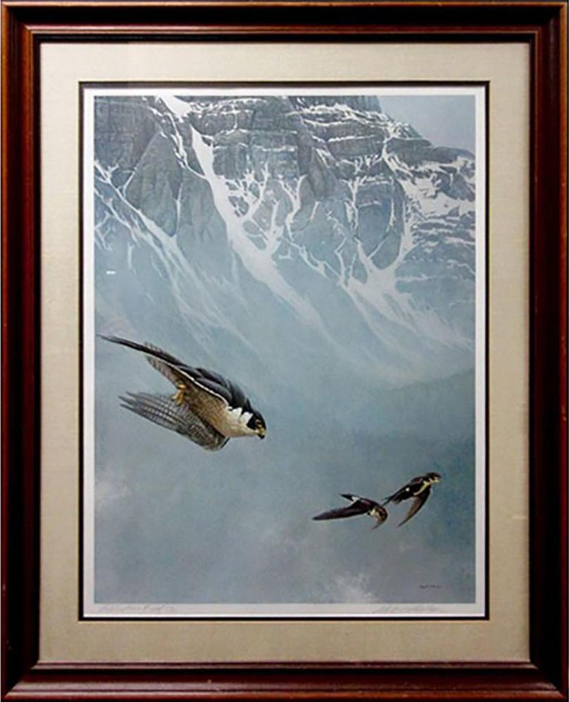 Robert Mclellan Bateman (1930-1922) - Peregrine Falcon And White-Throated Swifts