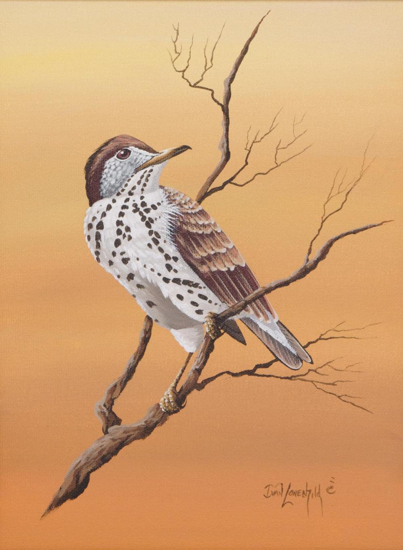 Ivan C. Lonechild (1953) - Wood Thrush