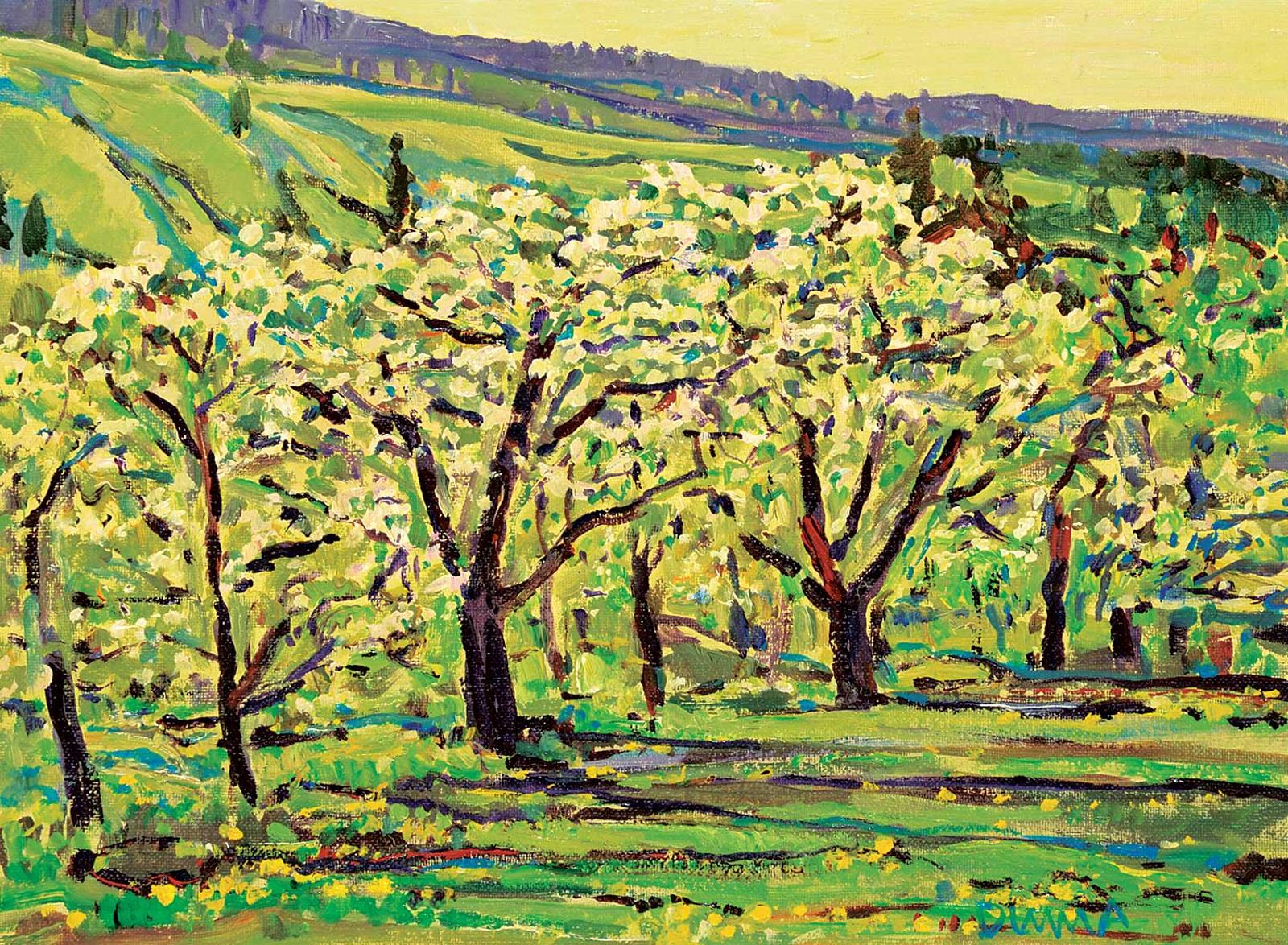 William (Bill) Duma (1936) - Orchard in Bloom