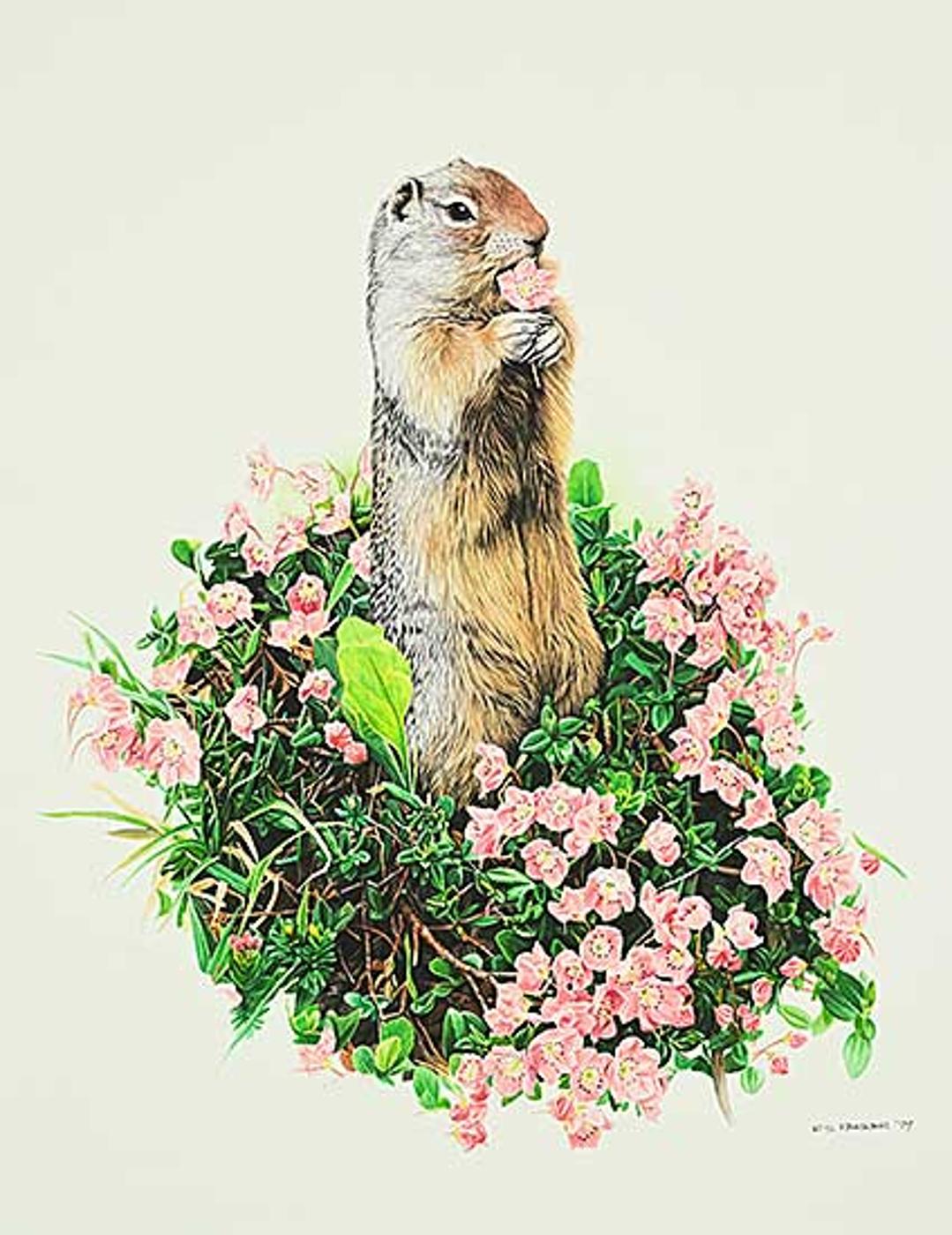 Ronald S. (Ron) Parker (1942) - Columbian Ground Squirrel